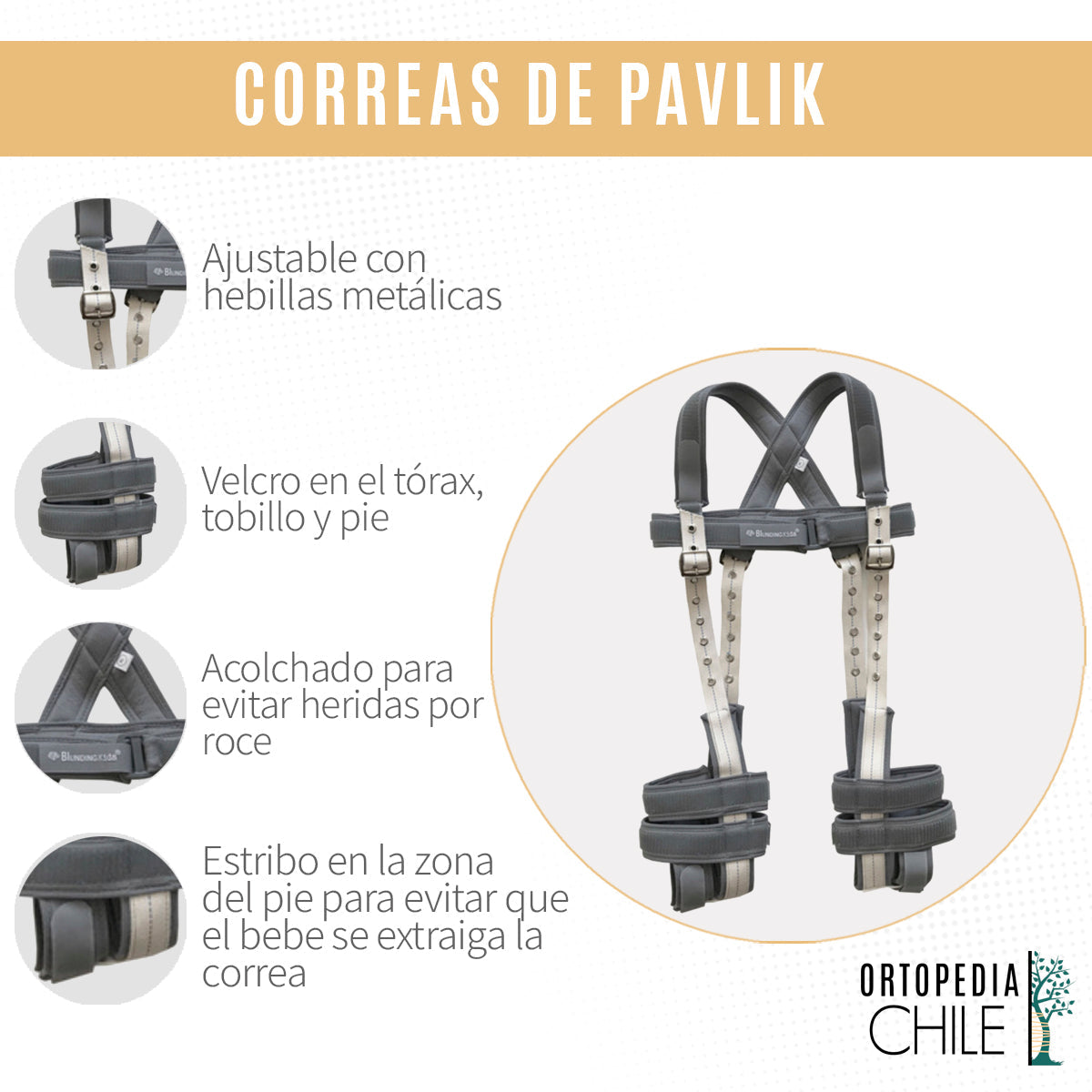 Correa de Pavlik Nuevo Modelo - Blunding